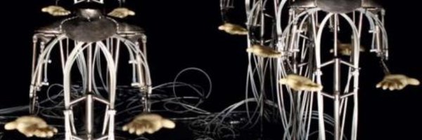 chipkalii Profile Banner