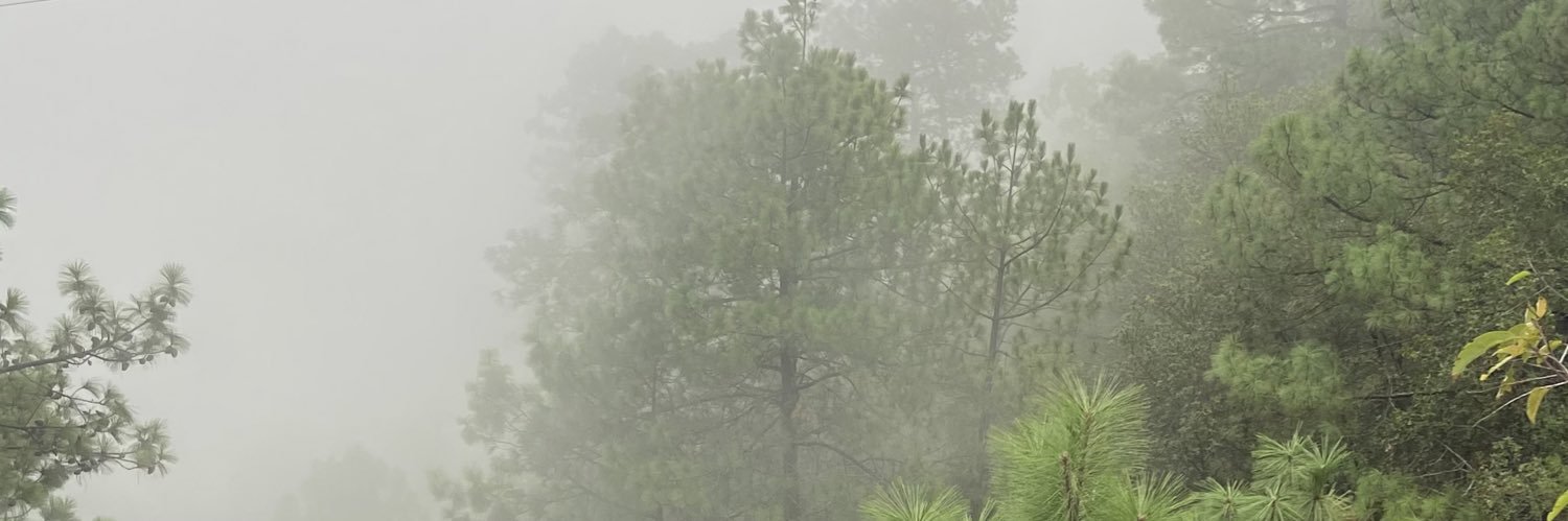 danielteescribe's profile banner image
