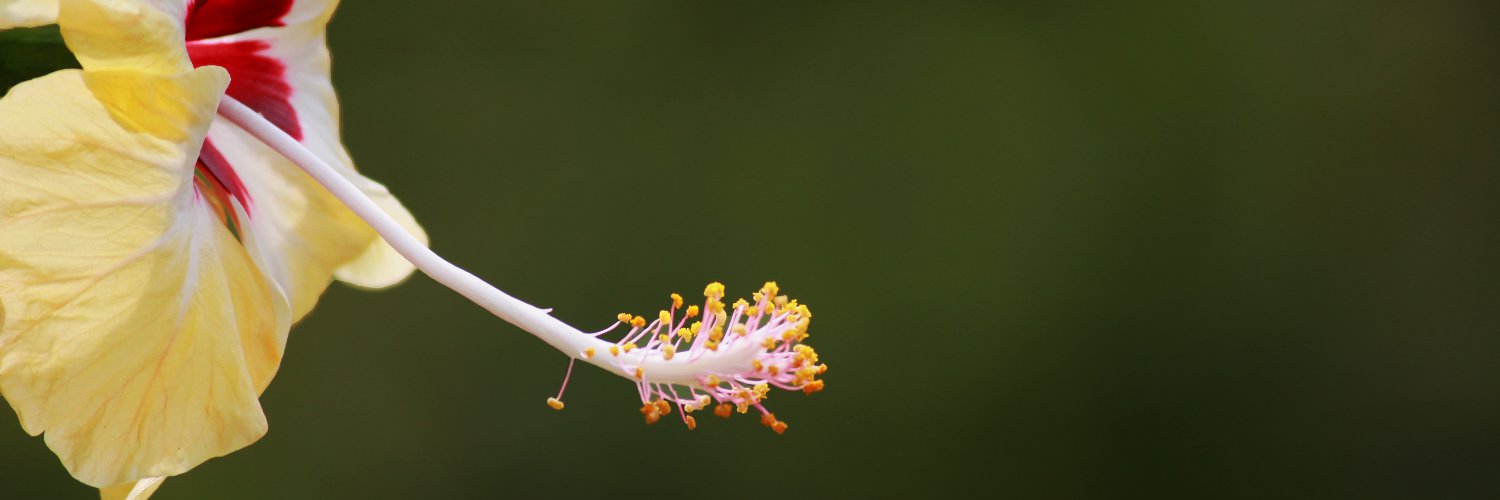 anuravinambiar's profile banner image