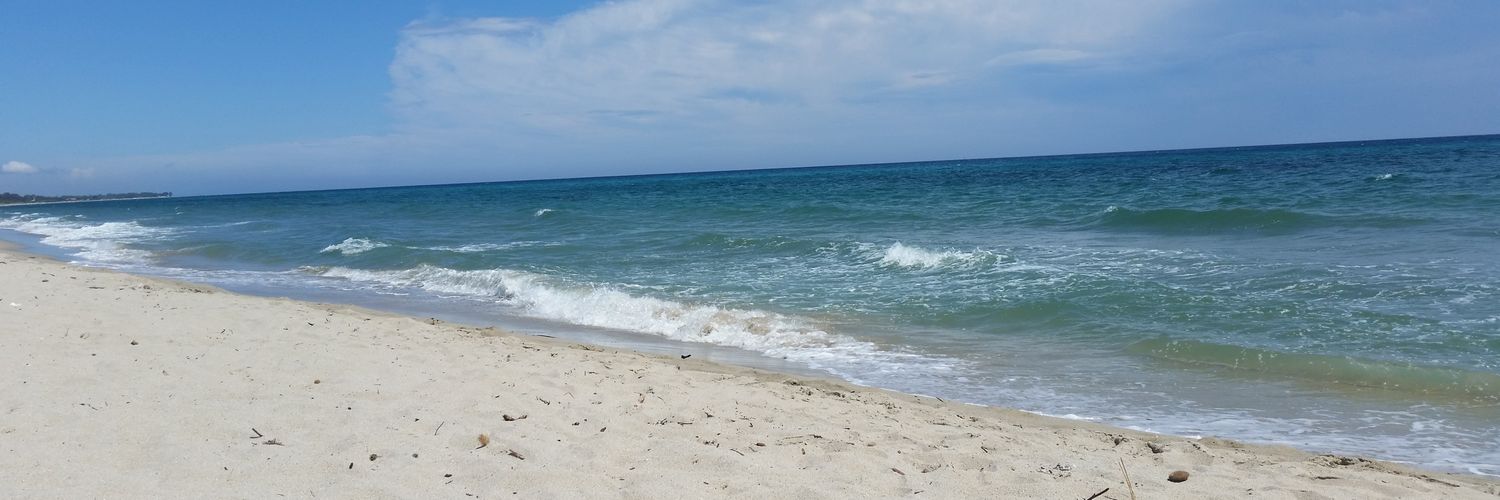 CaraVii's profile banner image