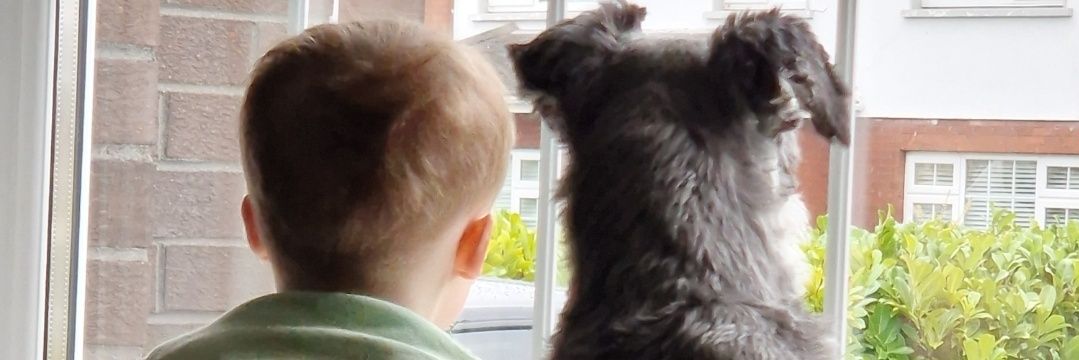 @CiaránShevlin 🍉 banner