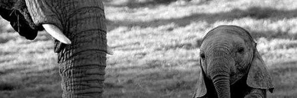multiverses1's profile banner image