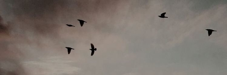 iamrrpnn's profile banner image