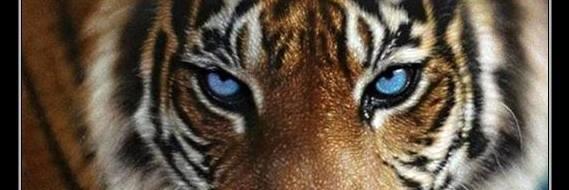 Gresha07's profile banner image
