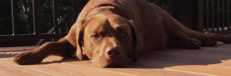 ktakrop's profile banner image