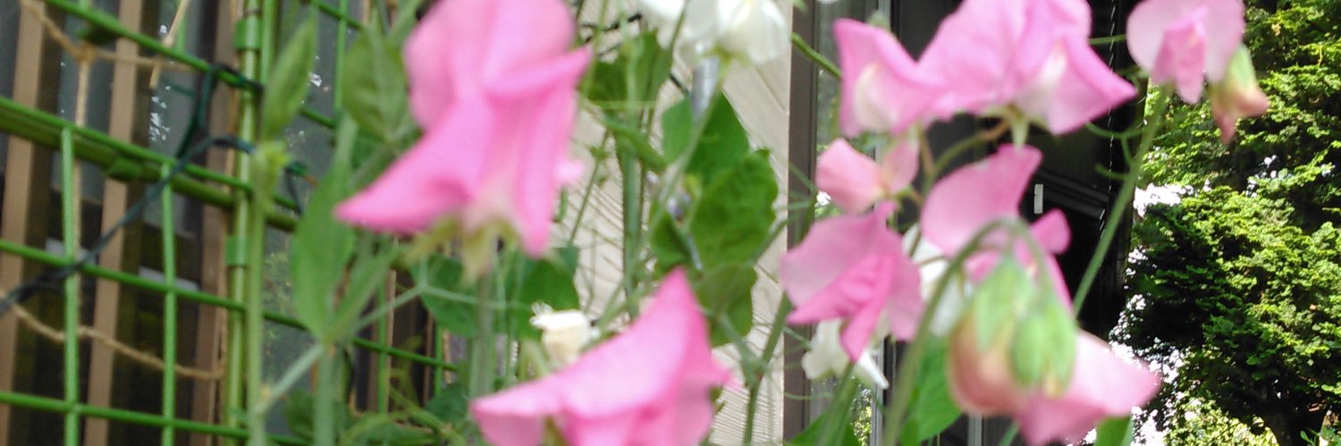 あ～んちょび banner