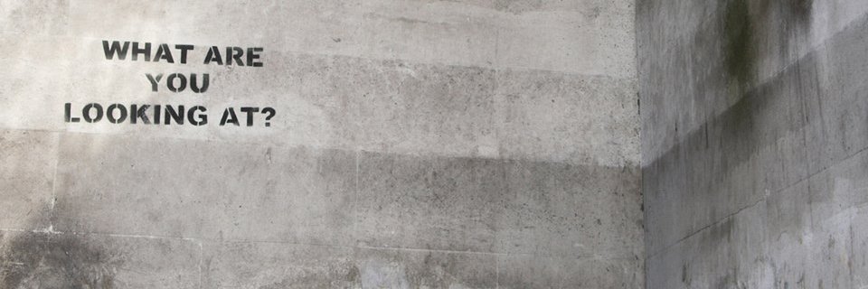 BarbaraAmodeo's profile banner image