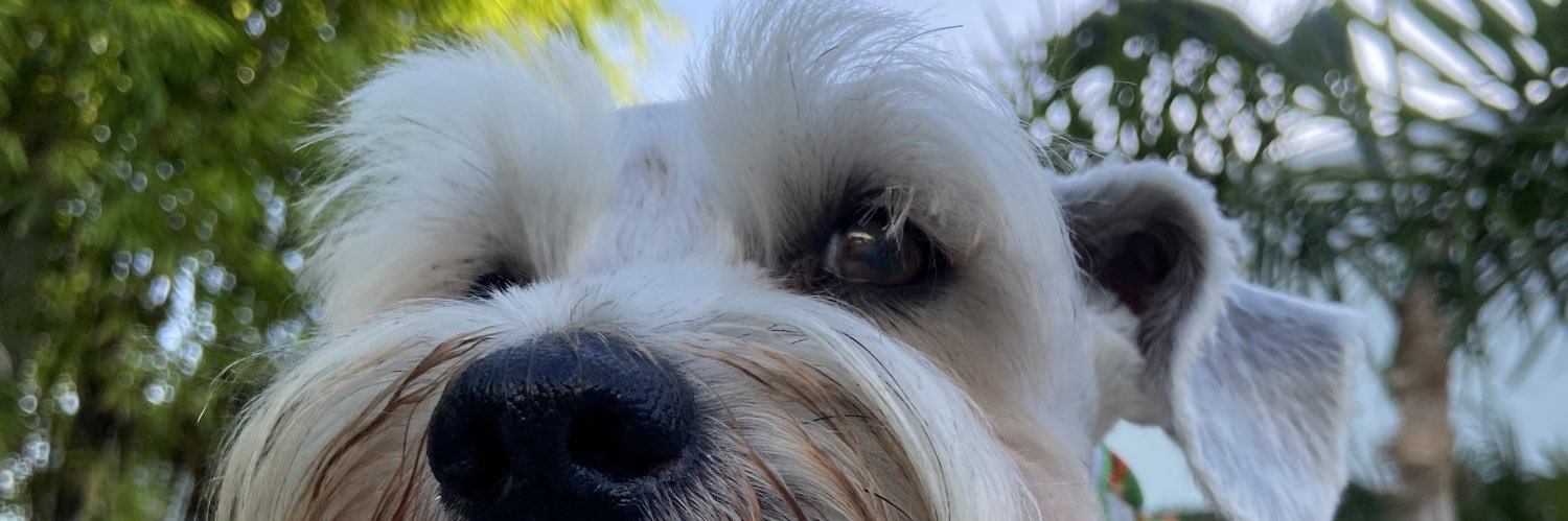 melissagae13's profile banner image