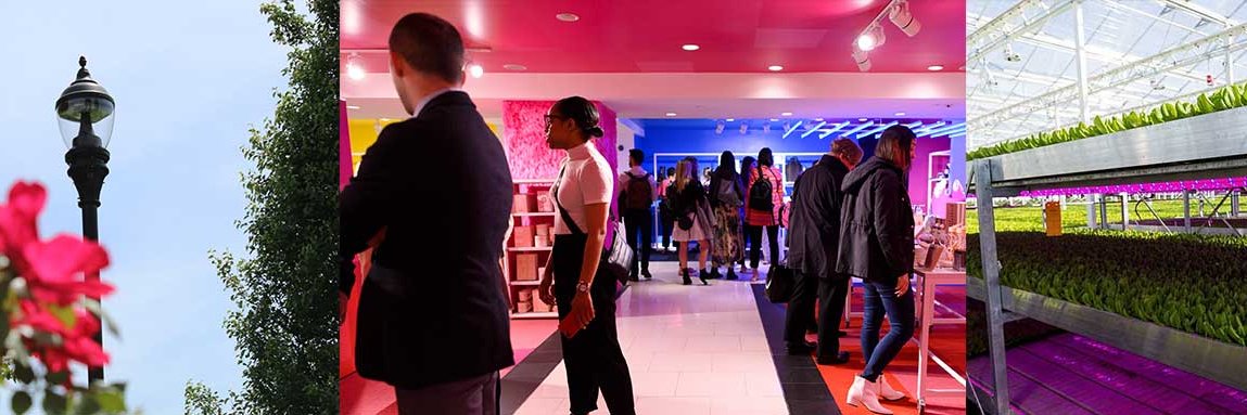 GE Current, a Daintree company banner