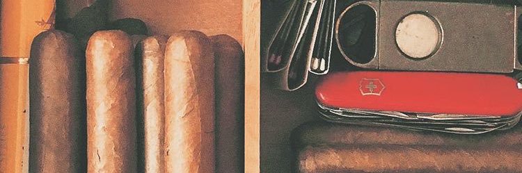 snipsanddangles's profile banner image
