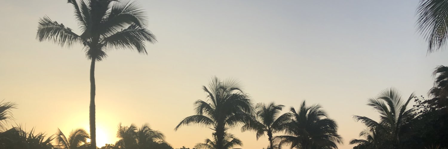 lucytysoe's profile banner image
