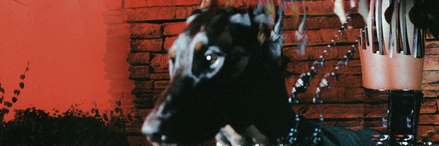 joelisaaac's profile banner image