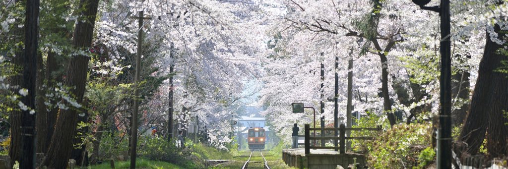 umizaka's profile banner image