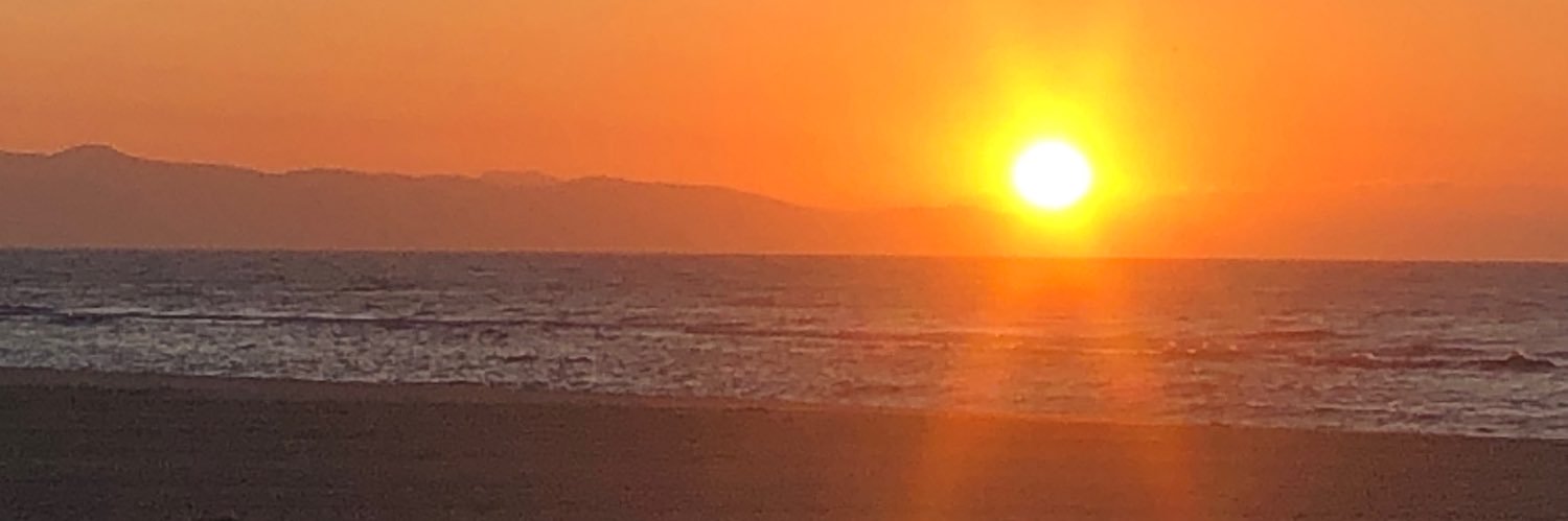 delsaja's profile banner image