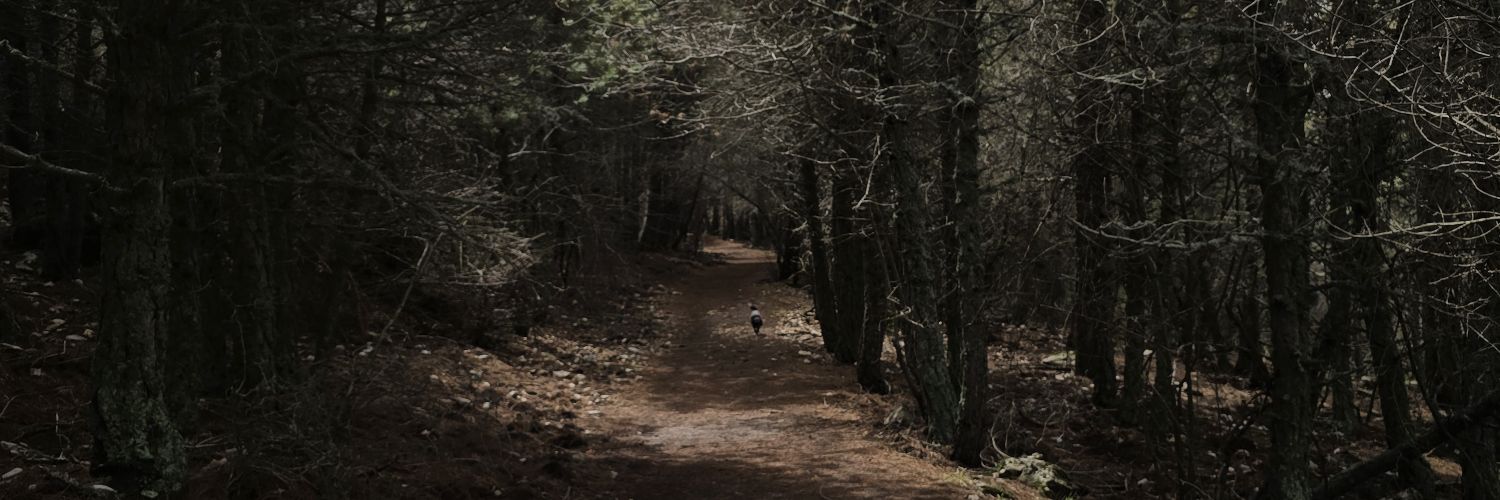 Rubén Millán Amorós banner