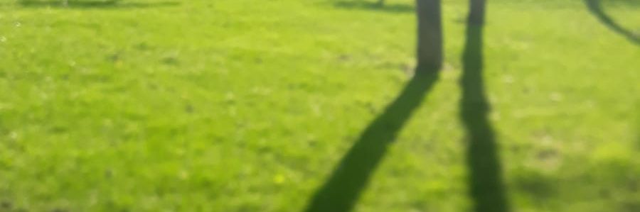 HasanAli_Alp's profile banner image