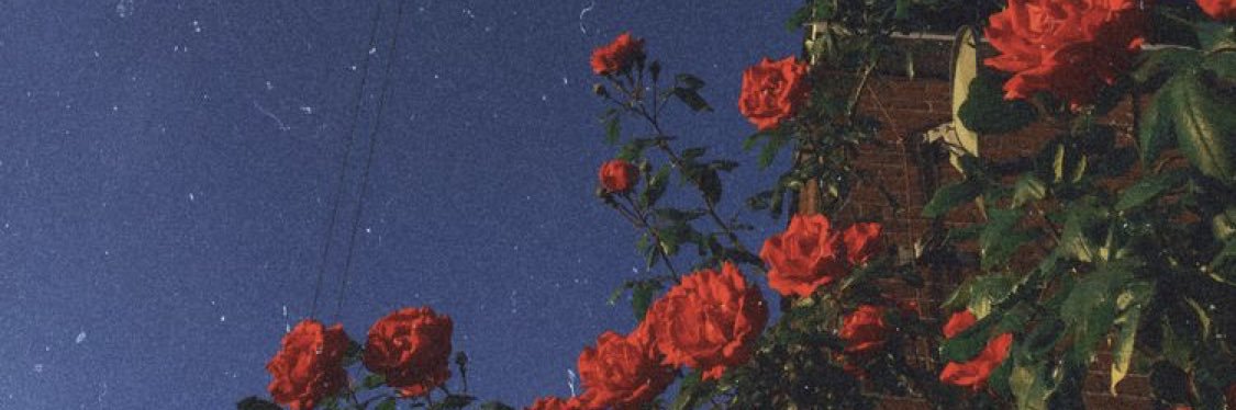 baileybur97's profile banner image