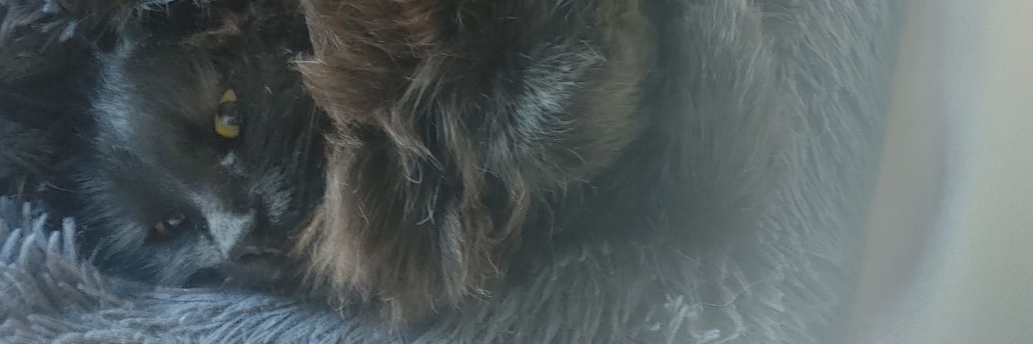 M4menow's profile banner image