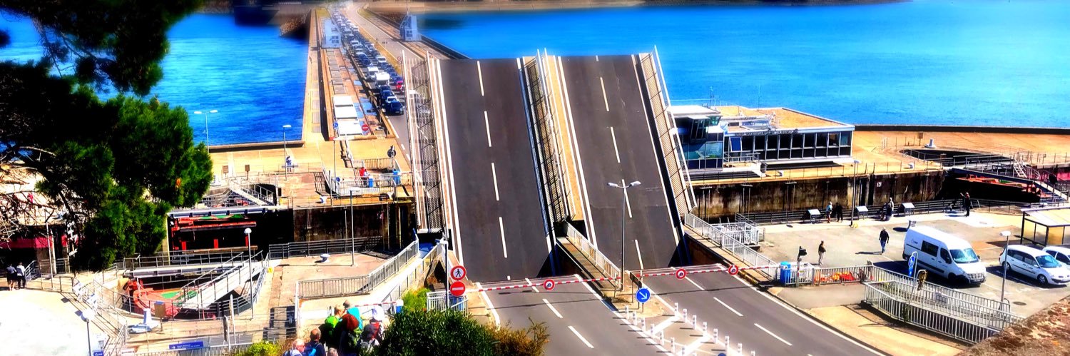 suricate_hrb's profile banner image