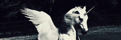 Molleta's profile banner image