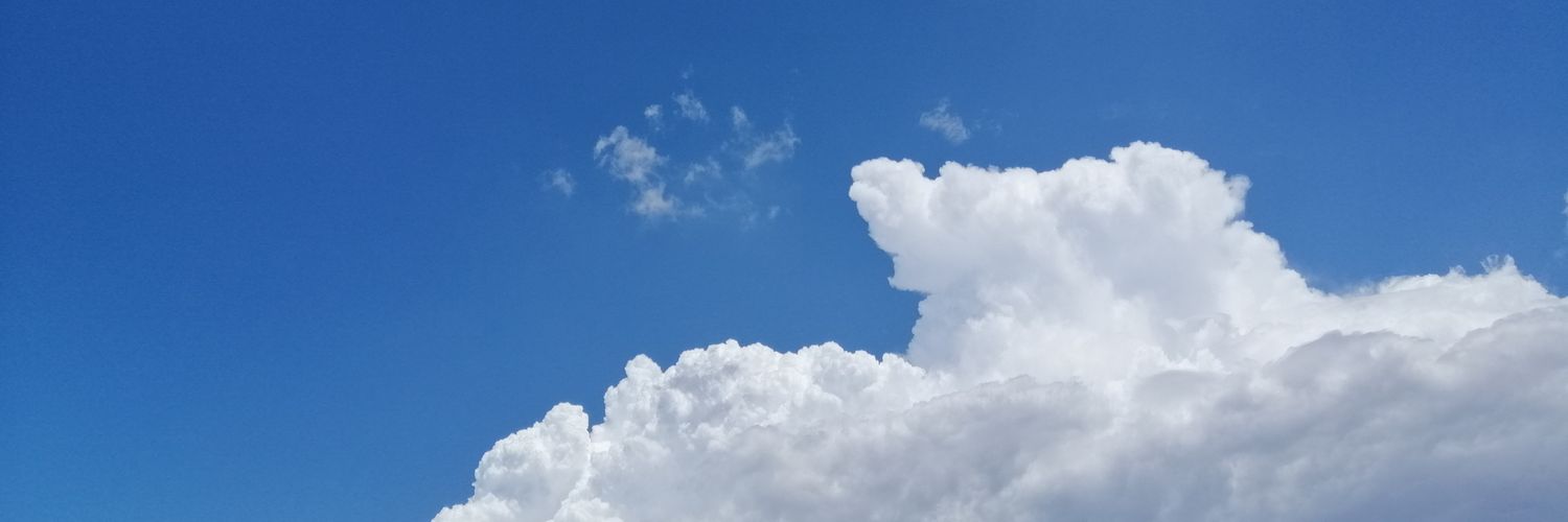Merviskosuu's profile banner image