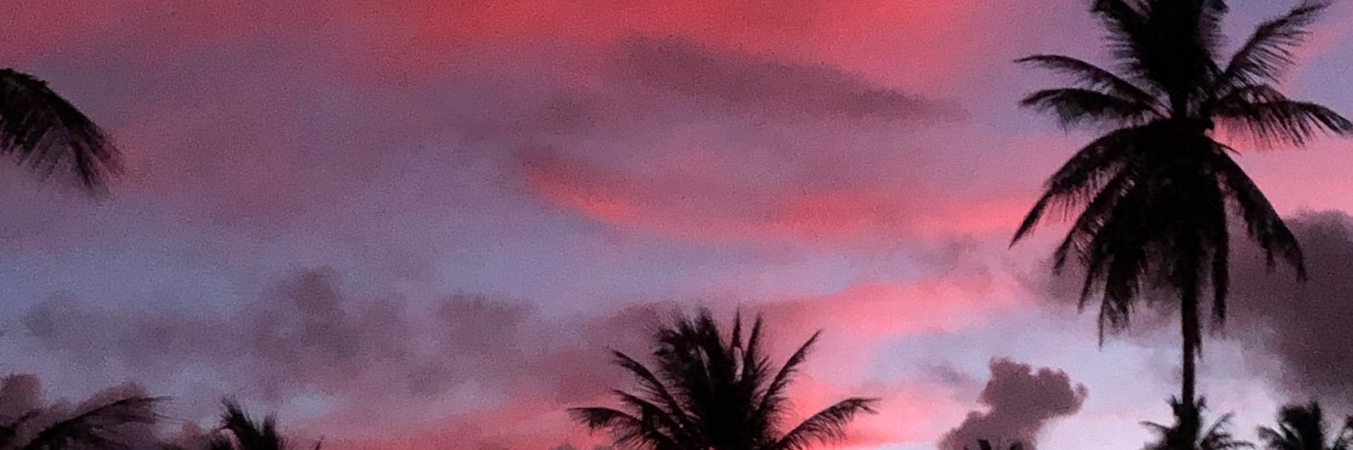 STEVEWIBLE's profile banner image