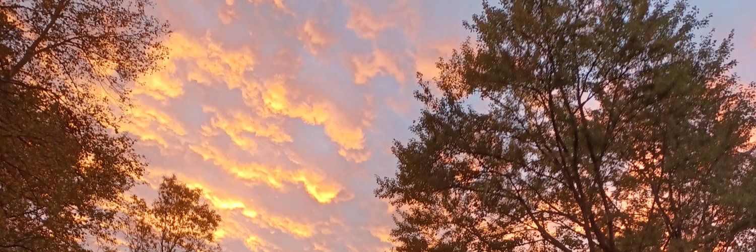 Fire_Ann_Rain94's profile banner image