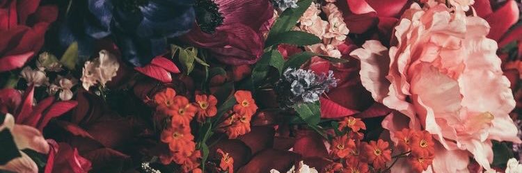 mpm_16's profile banner image