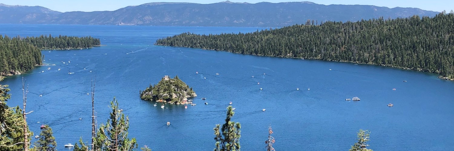 Lisa Wininger banner