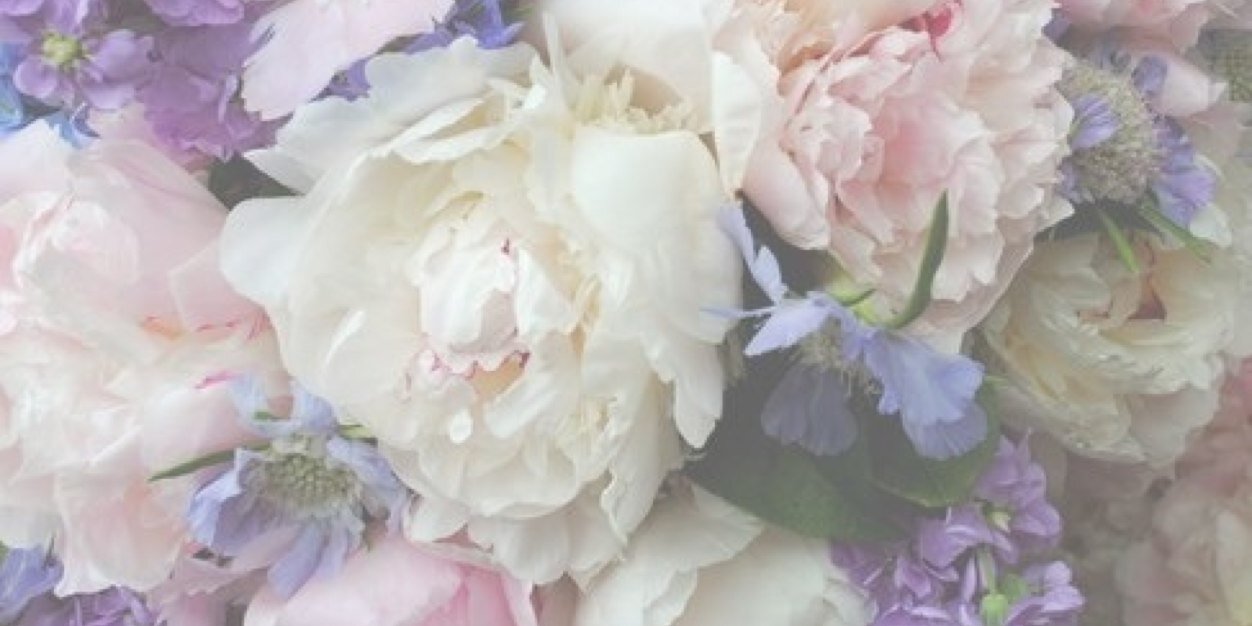 MarieLabat's profile banner image