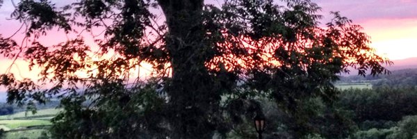 lynseyg12 Profile Banner