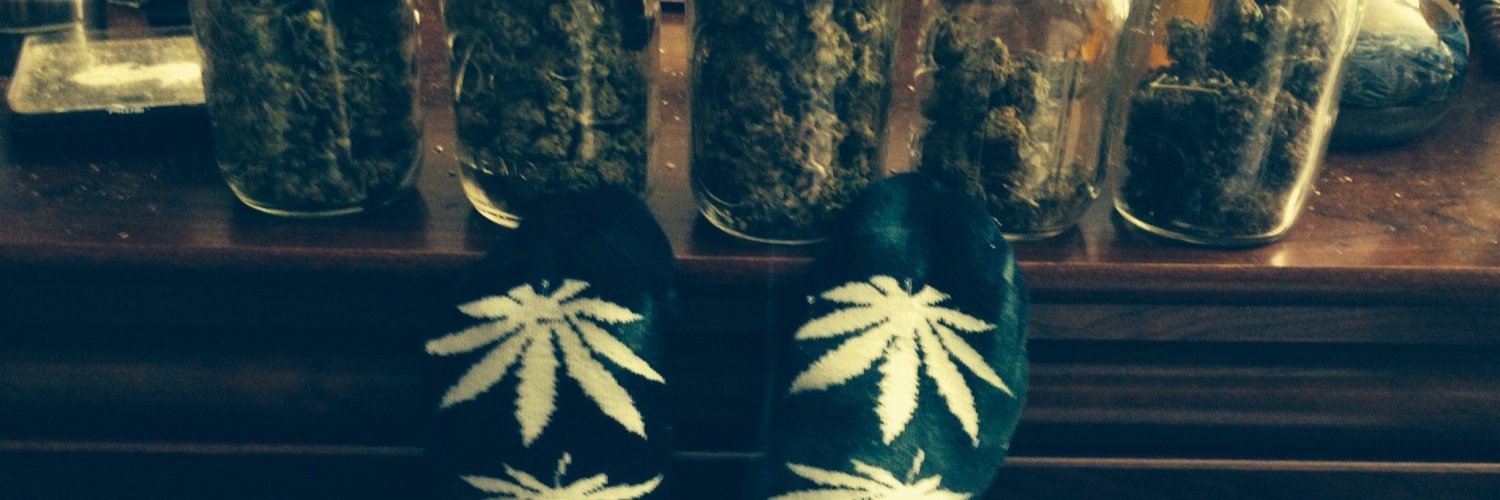 Errl Sugarkush banner
