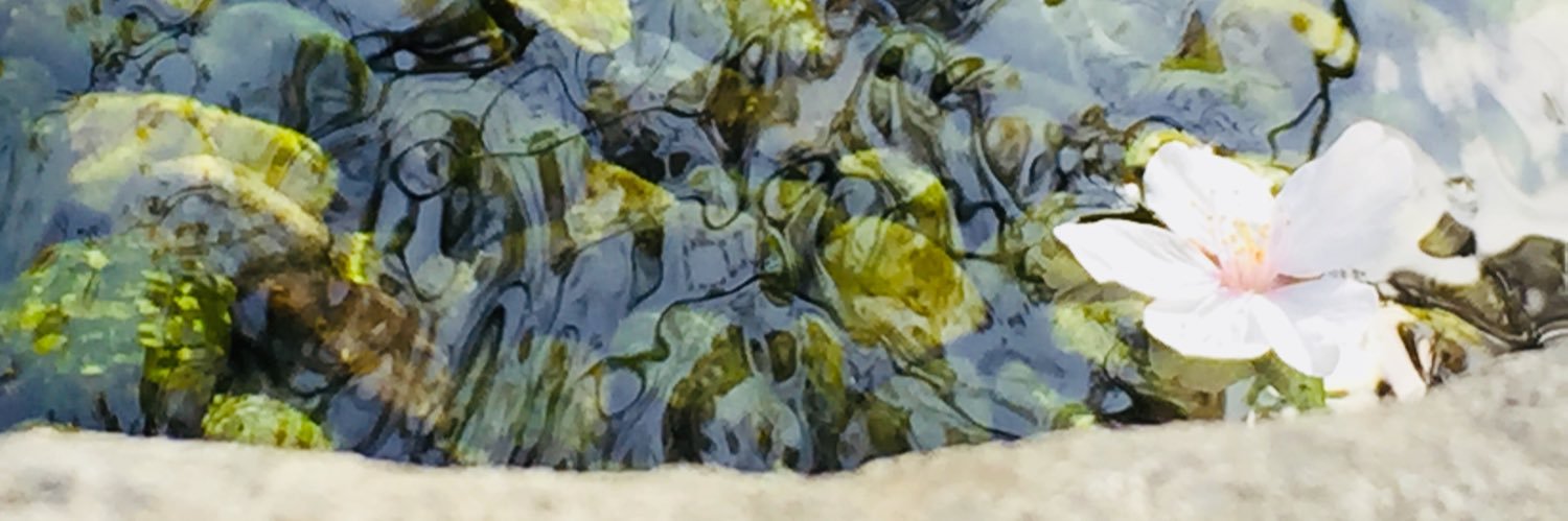 thoma_6221's profile banner image