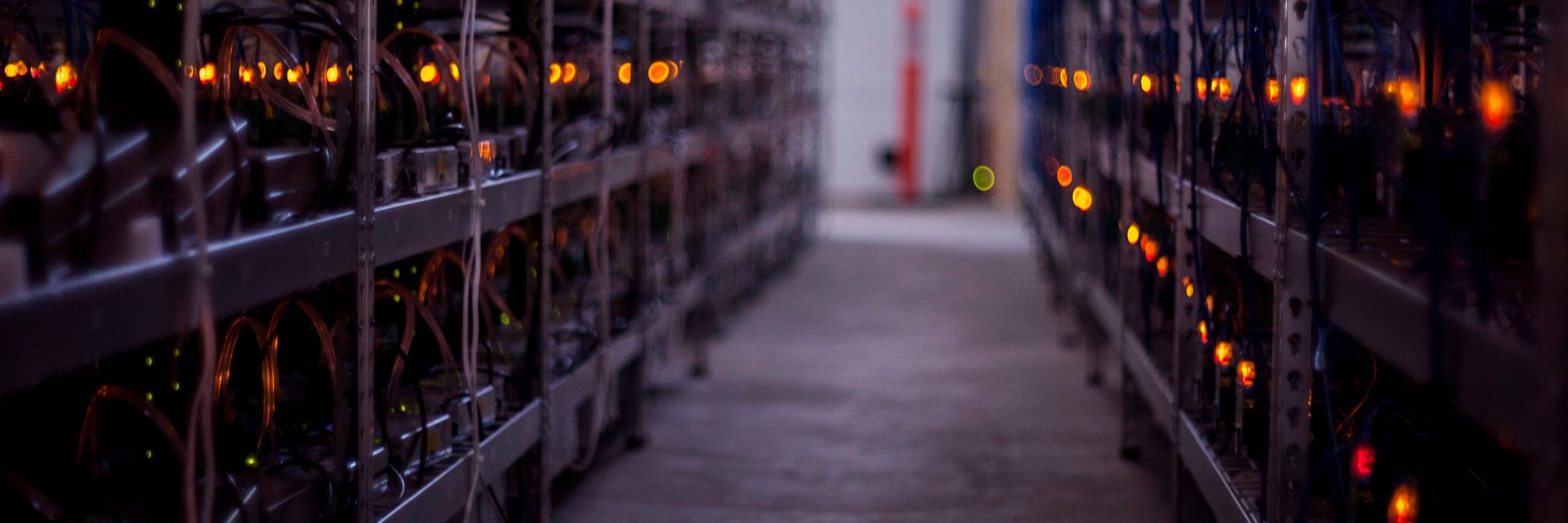 David Carlson banner