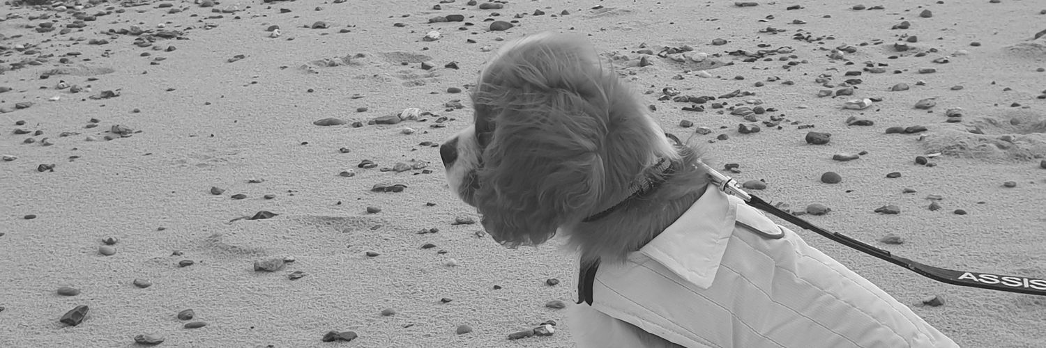 CrazySloth00's profile banner image