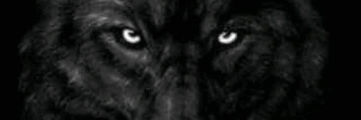 KRM3190's profile banner image