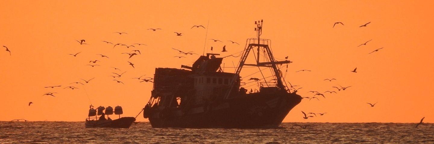 Merche Melilla banner