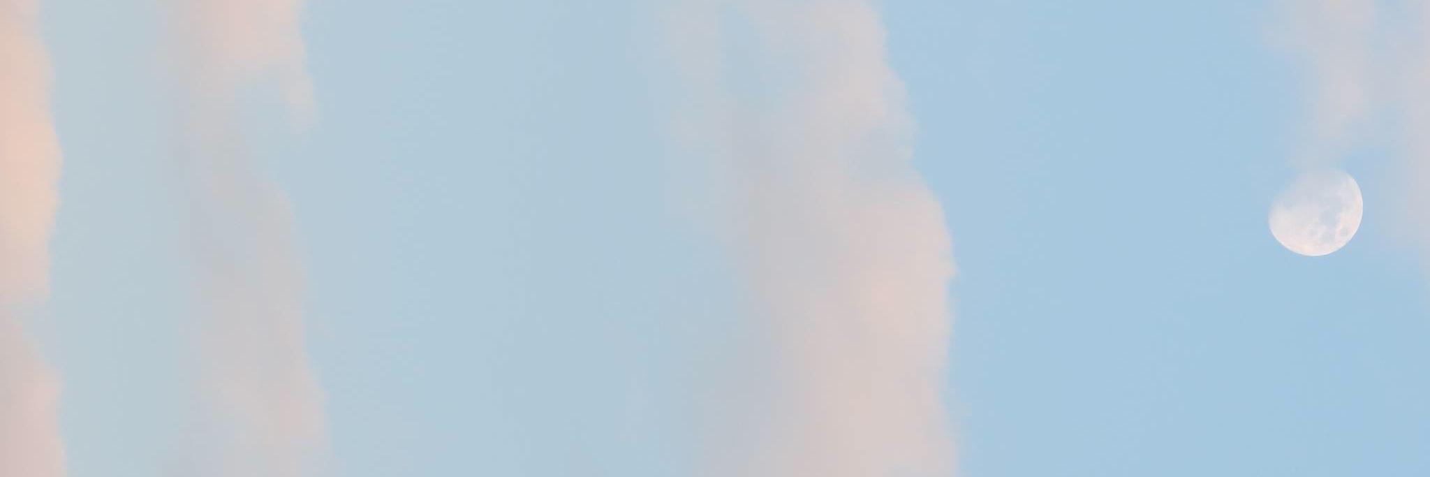 maryange's profile banner image