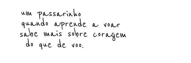 Comentarista de aleatoriedades banner