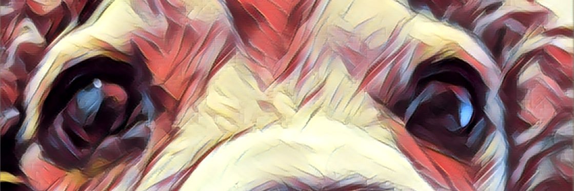 Gio2590's profile banner image