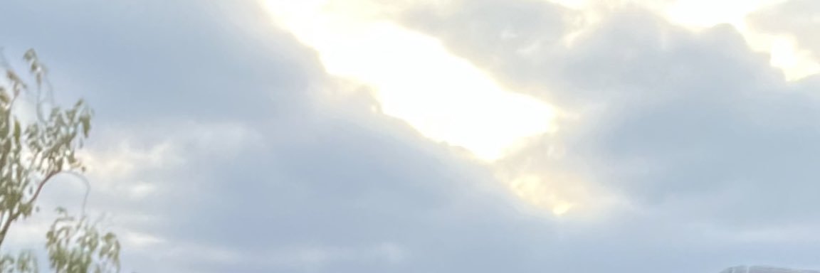 rodrigobelle's profile banner image
