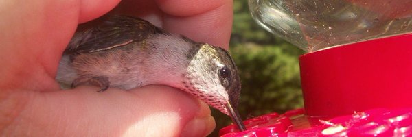 Marcys2Cents Profile Banner