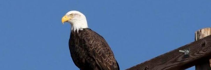 SaintLakes's profile banner image