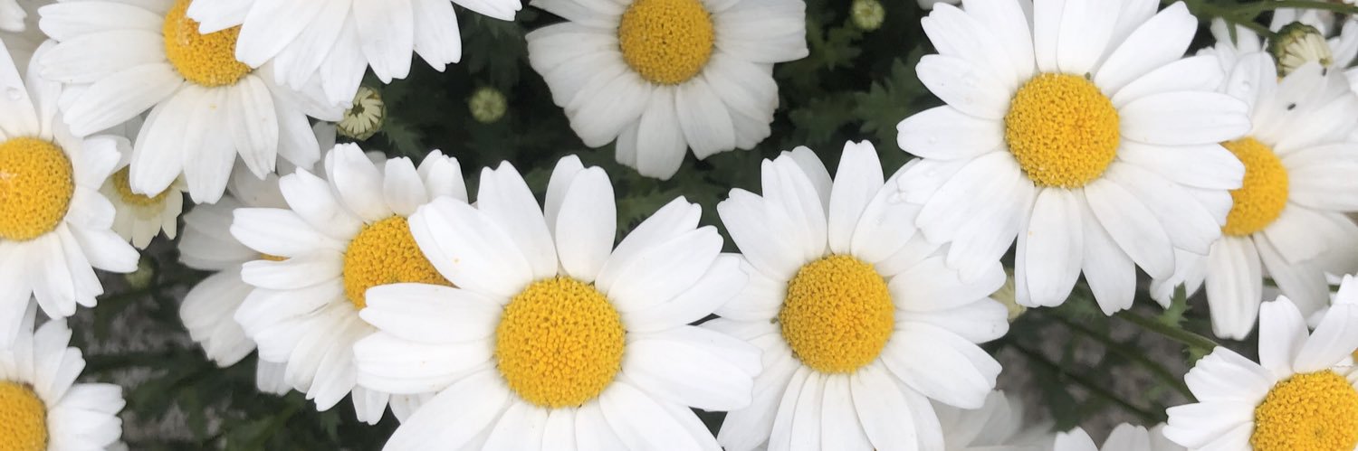 tkwpcnfak5's profile banner image