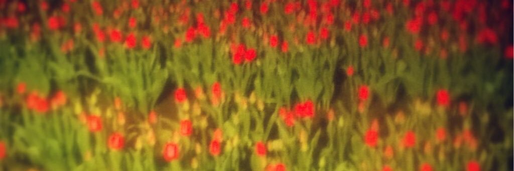 Gert Jan Bent banner