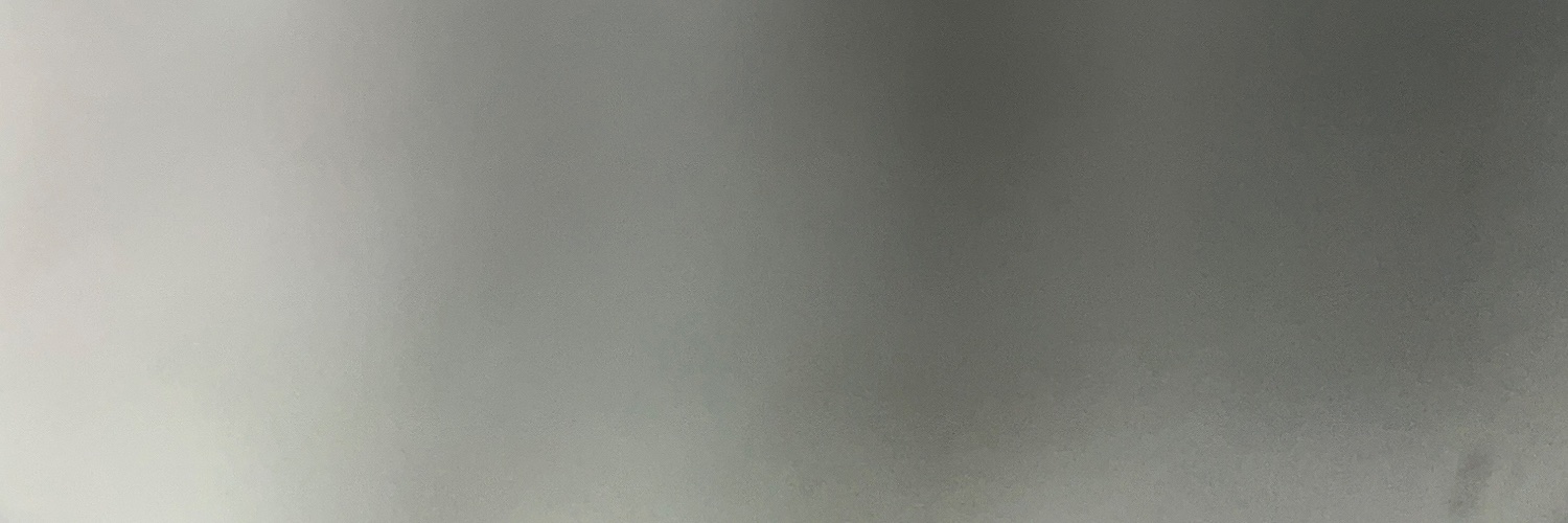 lienelavina's profile banner image