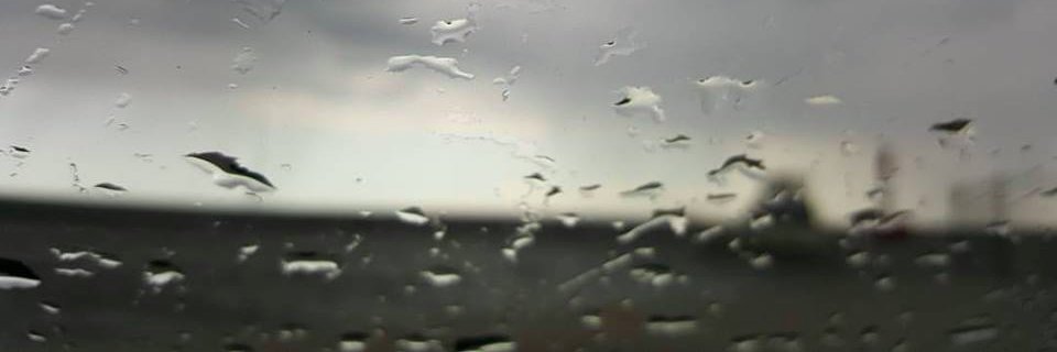 ck love 🥶🇨🇦@cklovewrites.bsky.social banner