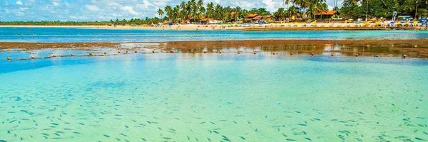marceloedumari2 Profile Banner