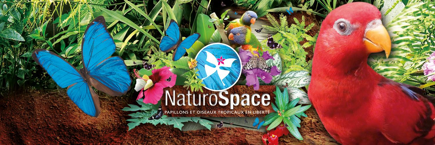 Naturospace_'s profile banner image