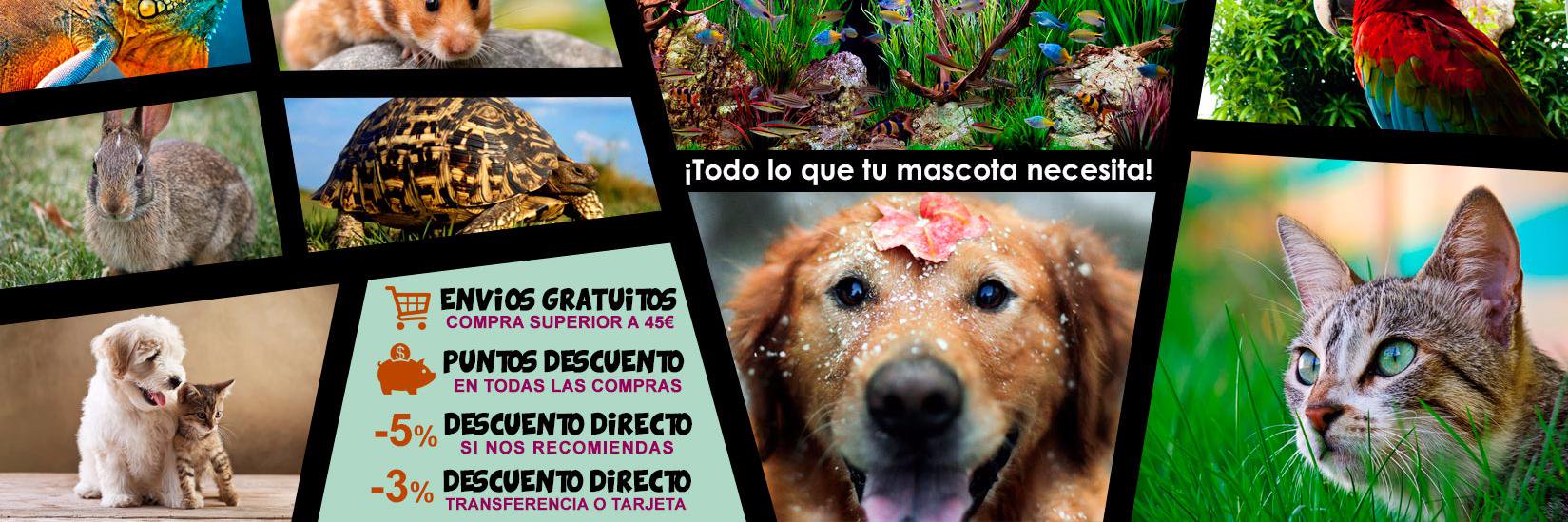 mascota_planet's profile banner image